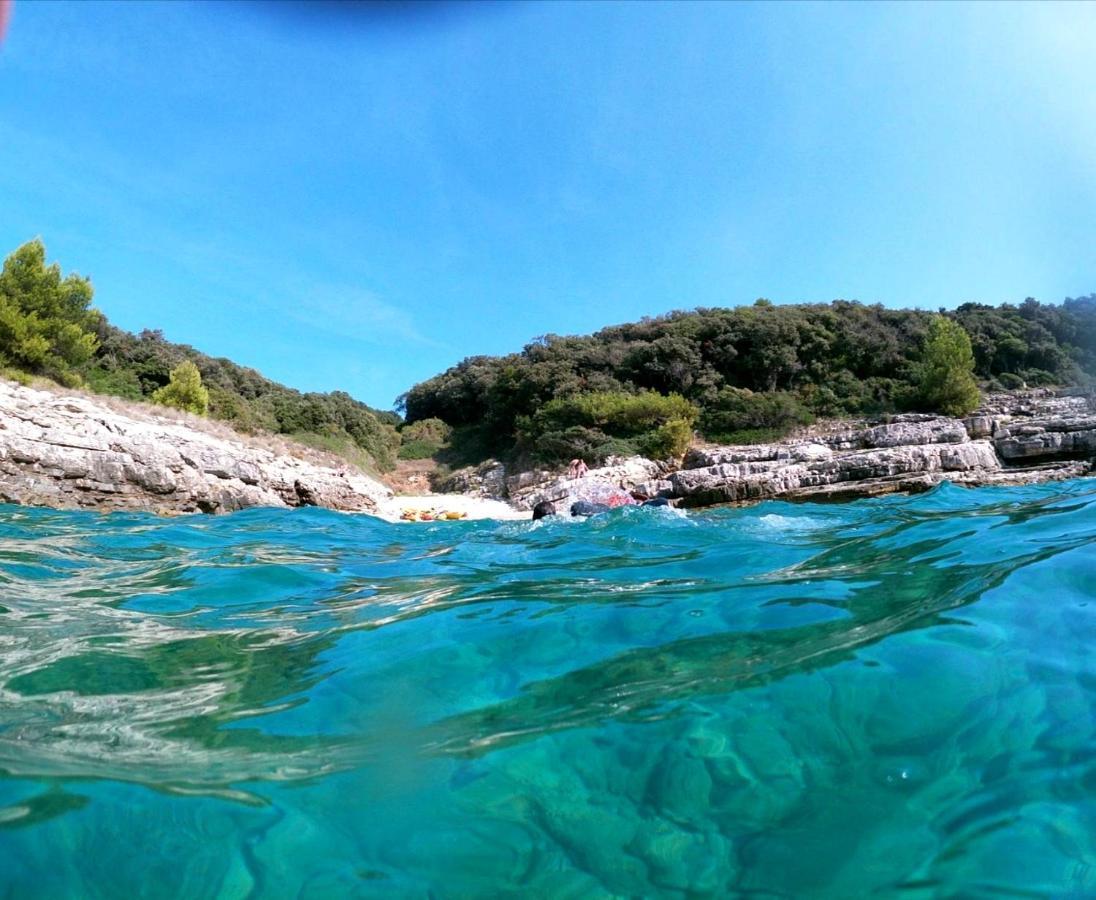 Cave With Free Parking Apartma *